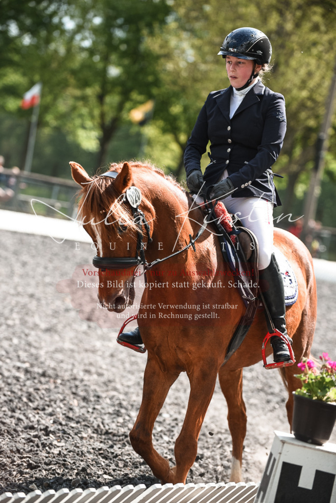 DSC_9048 | Pferde- und Turnierfotografie in Westsachsen. Pferdeportraits, Auftragszeichnungen und intuitive Kunst.