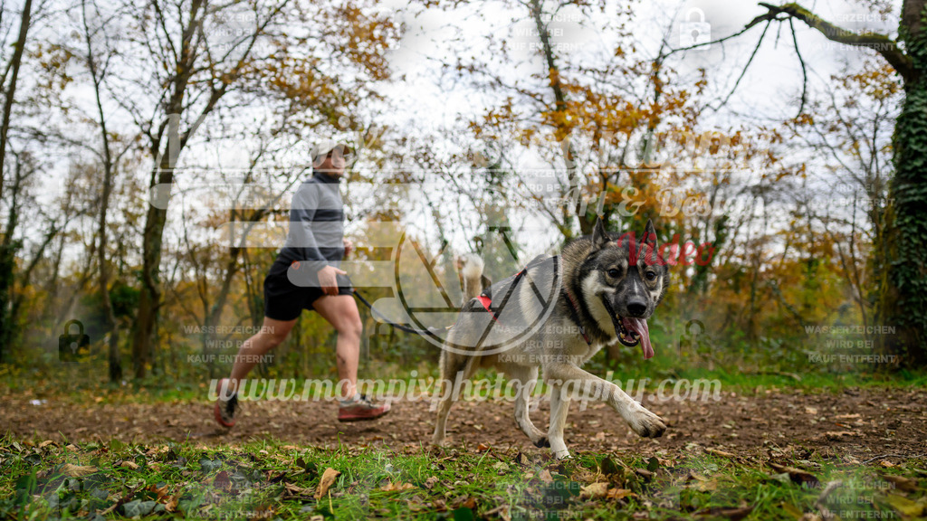MompixPhotography_Bischwiller24_DI_CoursedeRelais-72 | PayLife