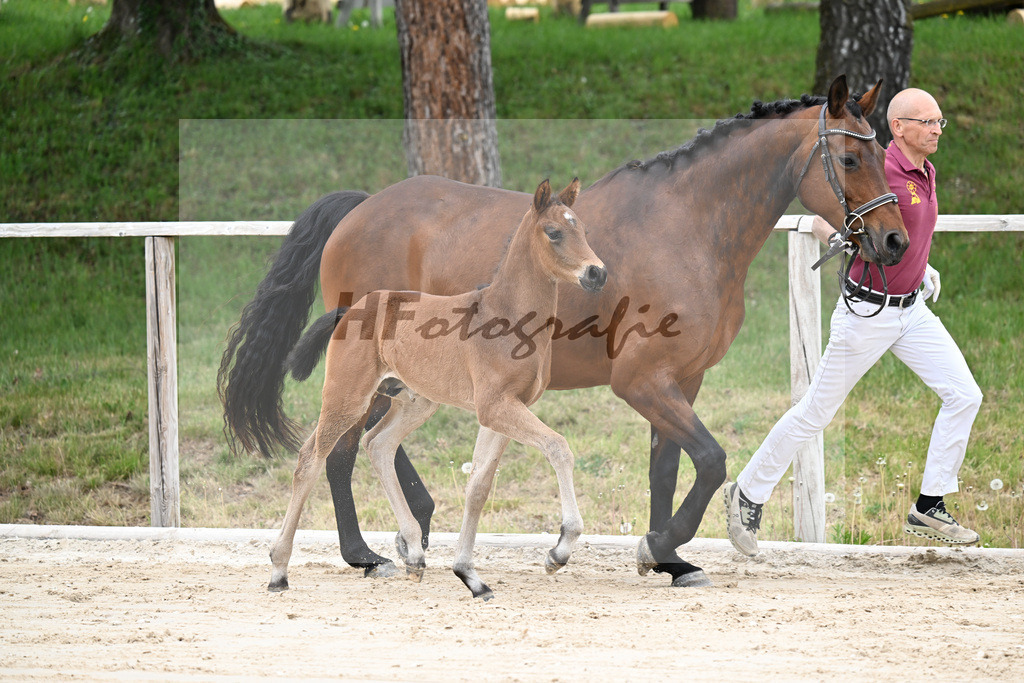 Kat-Nr. 27 HF Bonds in Gold x Dantano_Lechl_24260400 | hf-fotografie - Realisiert mit Pictrs.com