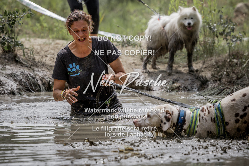 nelerasche_so1300-1330_60 | nelerasche