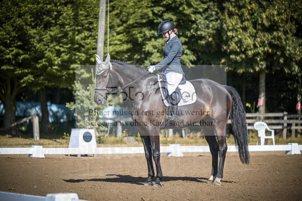 DOS_2549 | Entdecke hochwertige Reitturnierfotos von Foto Oger. Professionell, emotional und authentisch – jetzt Lieblingsmomente im Shop bestellen.Deutschlandweite Turnierfotografie. - Realisiert mit Pictrs.com