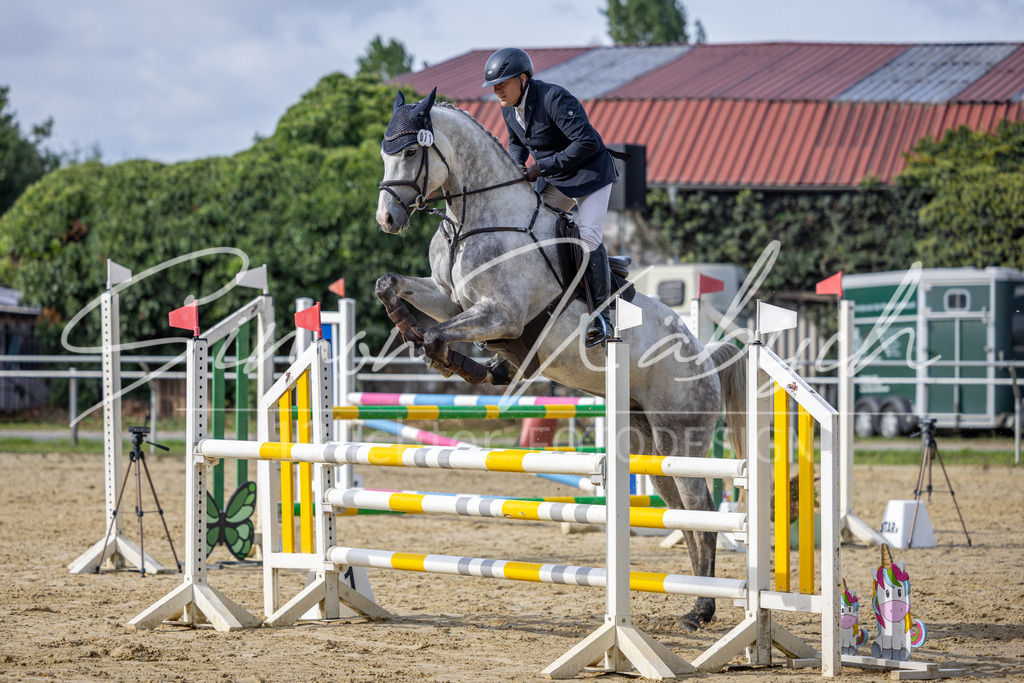 20260905-_3LI7258 | Tierfotografie Pferde, Hunde, Katzen, Haustiere.
Turnierfotografie Reitturniere, Reiten, Springreiten, Dressur in Hanau, dem Main-Kinzig-Kreis und dem Rhein-Main- Gebiet um Frankfurt
