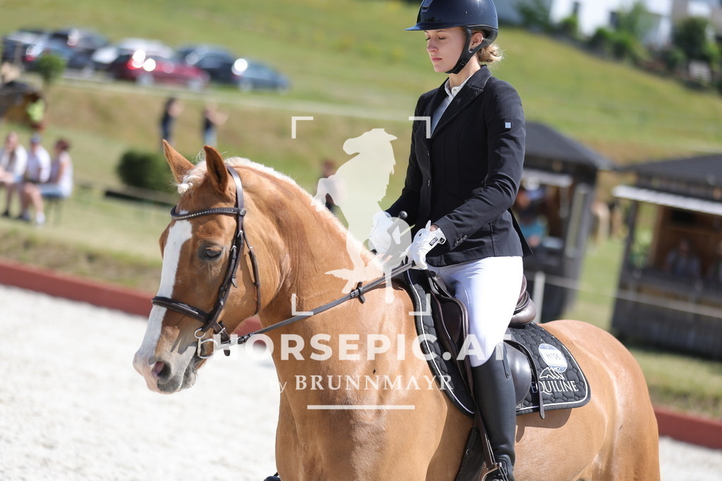 0P6A7989 | Willkommen bei Brunnmayr - Design & Fotografie – Ihrem Spezialisten für Reitturniere und Pferdeveranstaltungen in Oberösterreich, Salzburg und Bayern! Seit über 17 Jahren sind wir leidenschaftlich dabei.