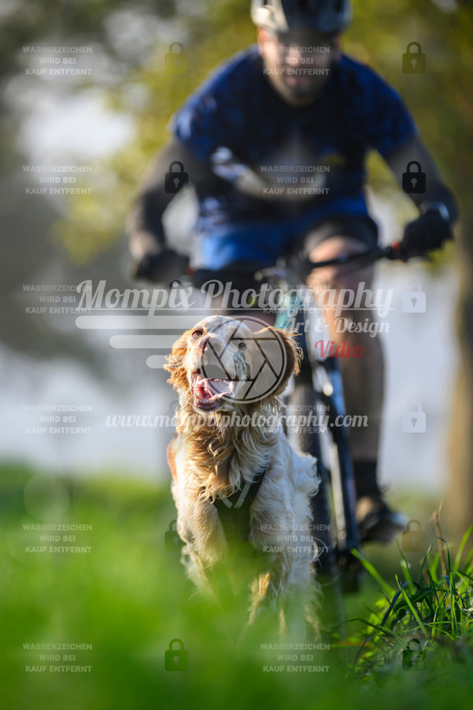 MompixPhotography_20TSB_E3_Bike-162 | PayLife
