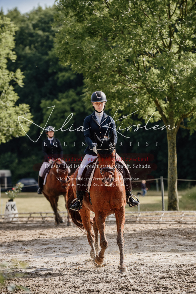DSC_8904 | Pferde- und Turnierfotografie in Westsachsen. Pferdeportraits, Auftragszeichnungen und intuitive Kunst.