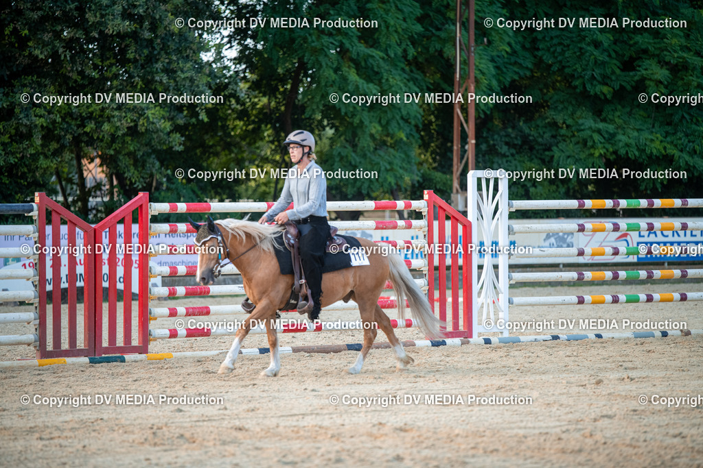 EWP_7297 | dv-media-shop - Realisiert mit Pictrs.com