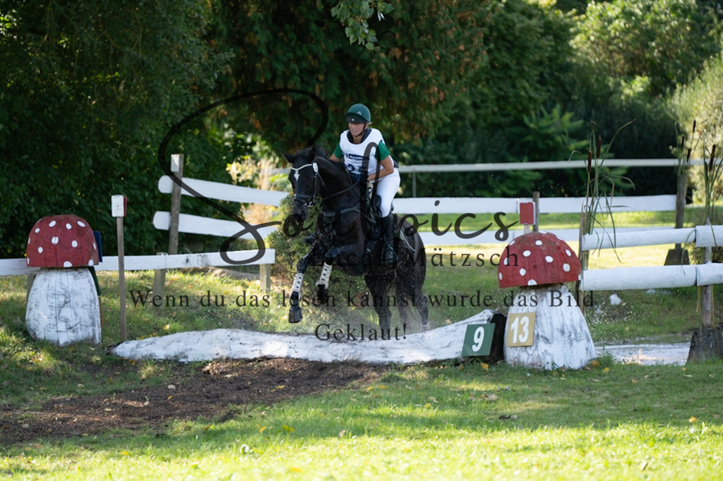 A7V03409 | Pferdefotograf