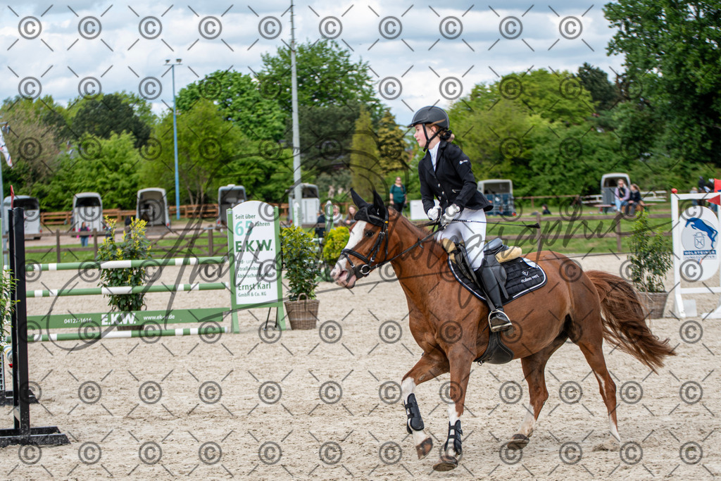 KPT_6296 | andre_photographic