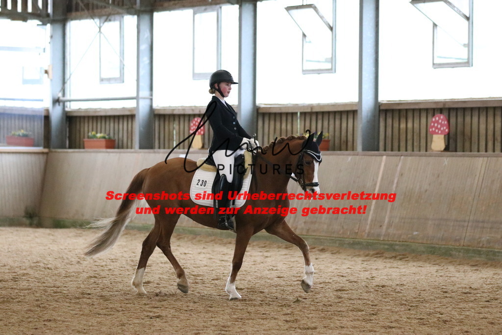 IMG_6842 | lmwpictures - Realisiert mit Pictrs.com