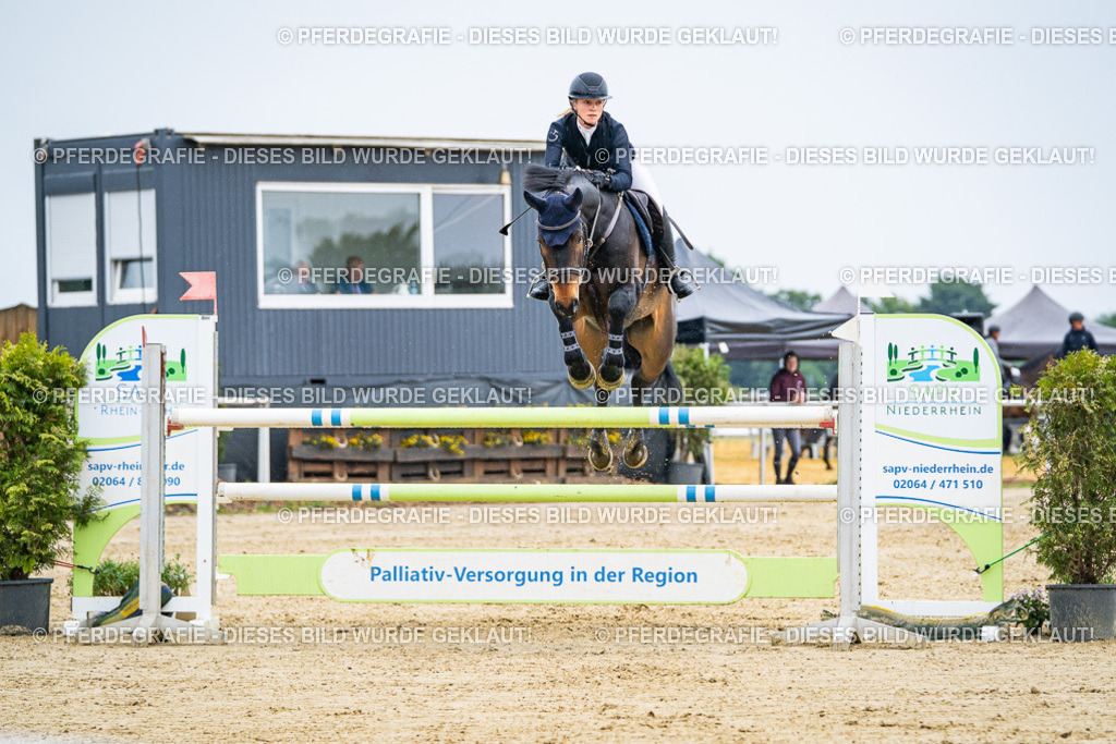 DSC08887 | Pferdegrafie