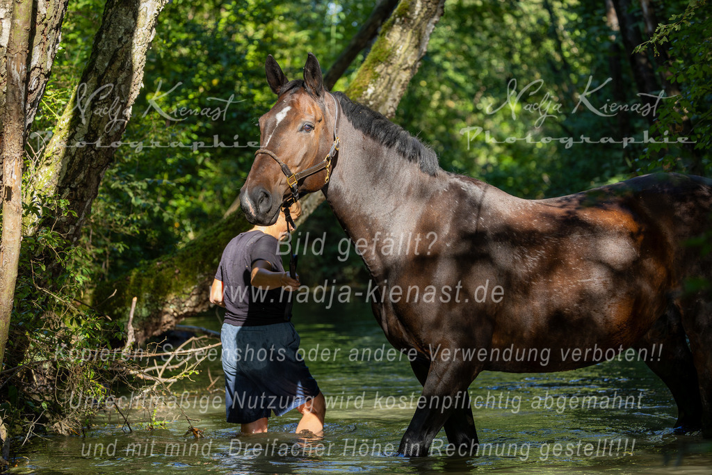 Auswahl_Photographie_Nadja_Kienast__IE_8695-Verbessert-RR | Ich biete Ihnen einzigartige und individuelle Fotoshootings mit Ihren Tieren.
In individuellen Coachings lernen Sie, wie sie von Ihrem Pferd, Ihrer Katze, Ihrem Hund oder einfach Ihrem persönlichen Lieblingstier eindrucksvolle Fotos machen können.