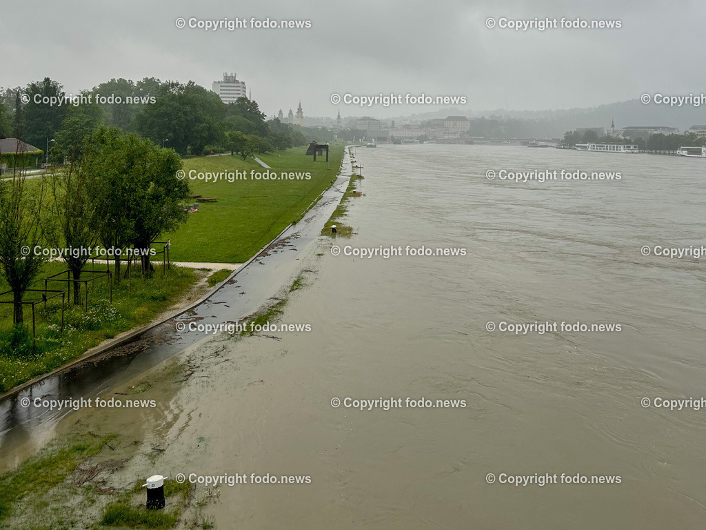 Linz_ Urfahr_ Hochwasser_ Donau_ 04.06.2024-6 | 04.06.2024, Linz, AUT, Urfahr, Hochwasser, im Bild Donau, Donaulaende Linz Urfahr