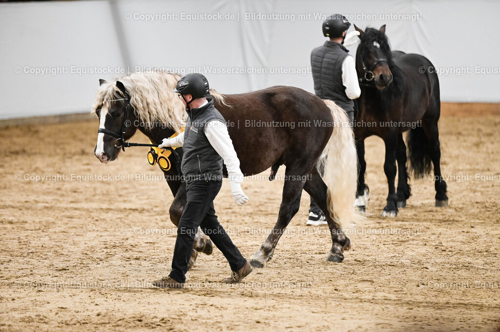 20260307_Hengstvorstellung-Marbach_0262 | equistock
