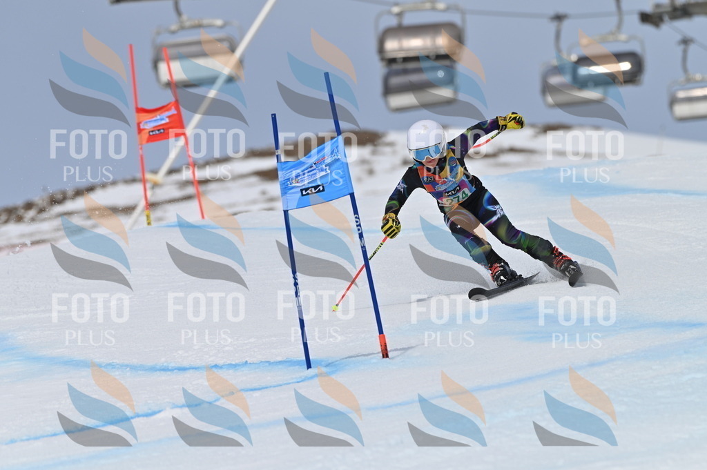 BGV_5426 | holidayphoto