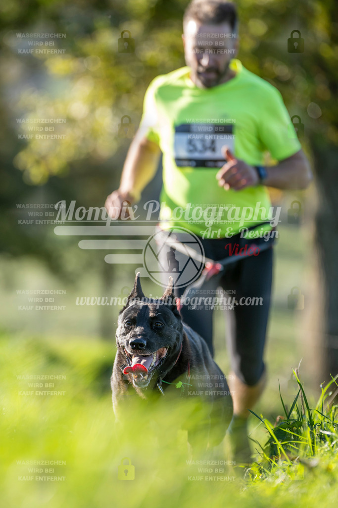 MompixPhotography_20TSB_E3_Run-99 | PayLife