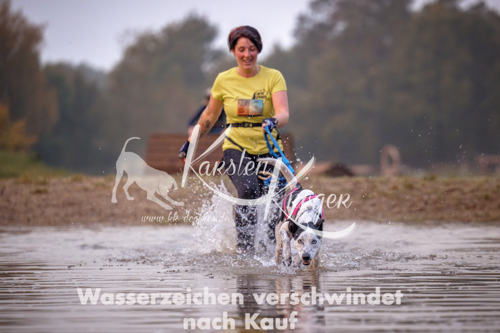 0808_ZZ90402 | kk-dogfotos