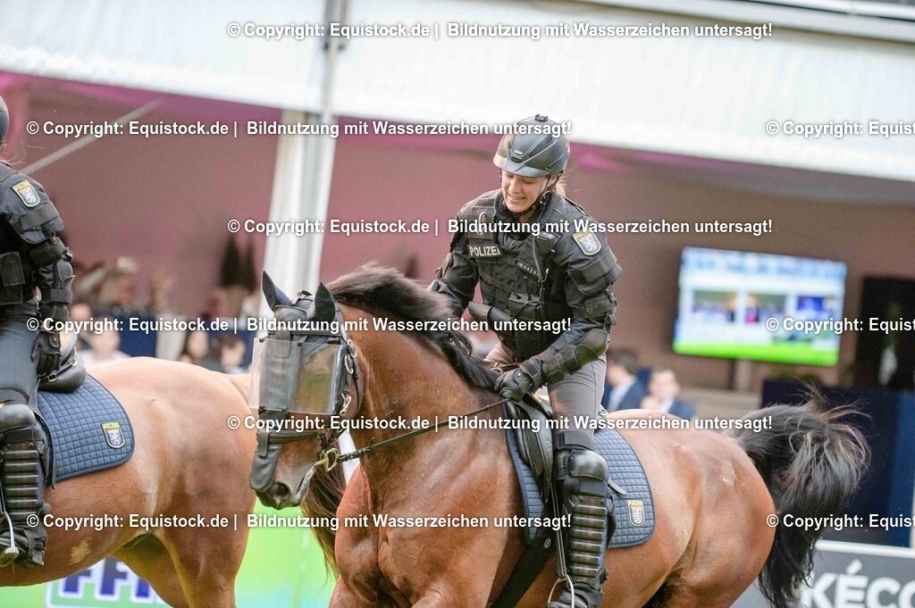 20250606_Lange-Pferdenacht_0858 | Foto: Thomas Hartig
