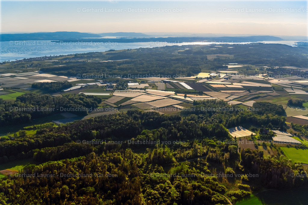 4028701 | IMMENSTAAD AM BODENSEE 17.05.2020 Baumreihen einer Obstanbau- Plantage auf einem Feld im Ortsteil Kippenhausen in Immenstaad am Bodensee im Bundesland Baden-Württemberg, Deutschland. // Rows of trees of fruit cultivation plantation in a field in the district Kippenhausen in Immenstaad am Bodensee in the state Baden-Wuerttemberg, Germany. Foto: Gerhard Launer