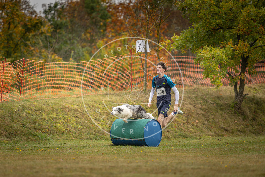 Pfotenfotografie_DV3A1552 | Hundefotografie, Tierfotograf, Pfotenfotografie, Fotoshooting Hund, Hunde Portrait, Hundesport, Hundeportraits, Heideshooting, Hunde, Sportfotograf, Hundefotograf, Turnierhundsport, THS,  - Realisiert mit Pictrs.com