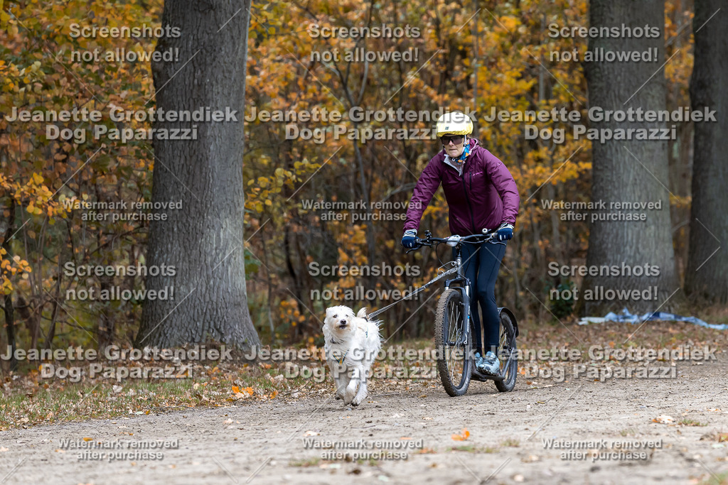 Dog Paparazzi - SD CaniX Championship 2025-574 | Dog Paparazzi Jeanette Grottendiek Fotografie & Videografie - Realisiert mit Pictrs.com