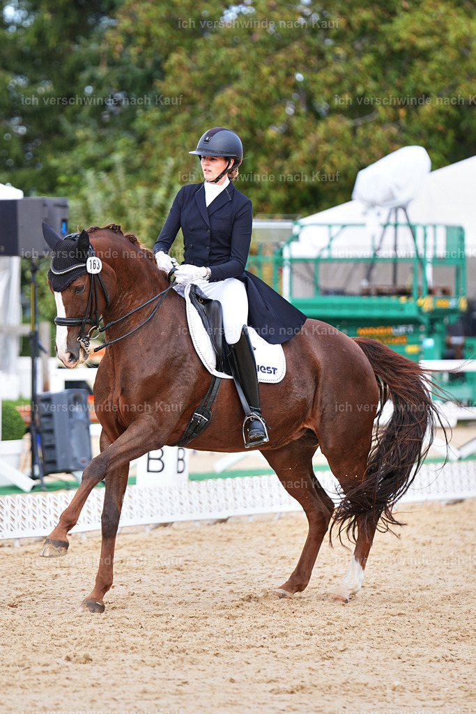 6-163-AMATUER-DRESSUR S_  -Marixx-3707 | working equitationturnier fotograf videograf stoibphotography marixx film working equitation deutschland reitsport turnierfotografie eventfotografie equestrian events