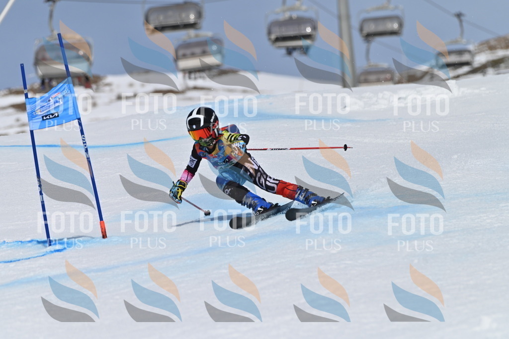 BGV_3474 | holidayphoto