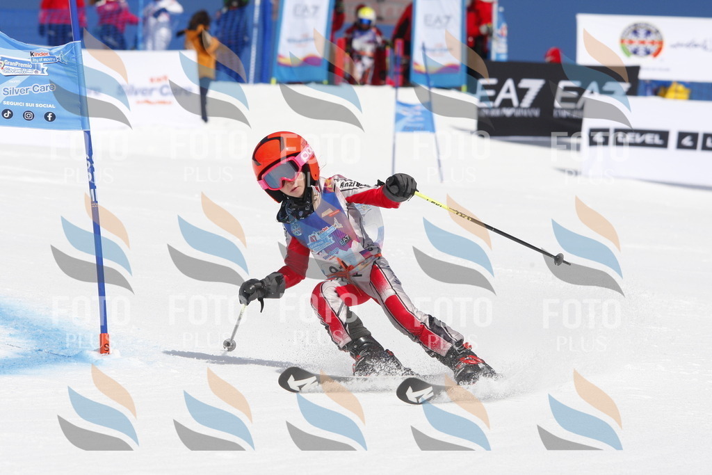 _W1G1189 | holidayphoto