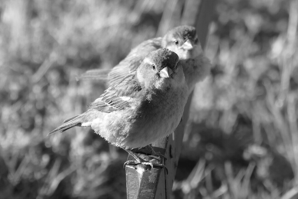 P7410081 (3) | Annaeherungen - Realisiert mit Pictrs.com