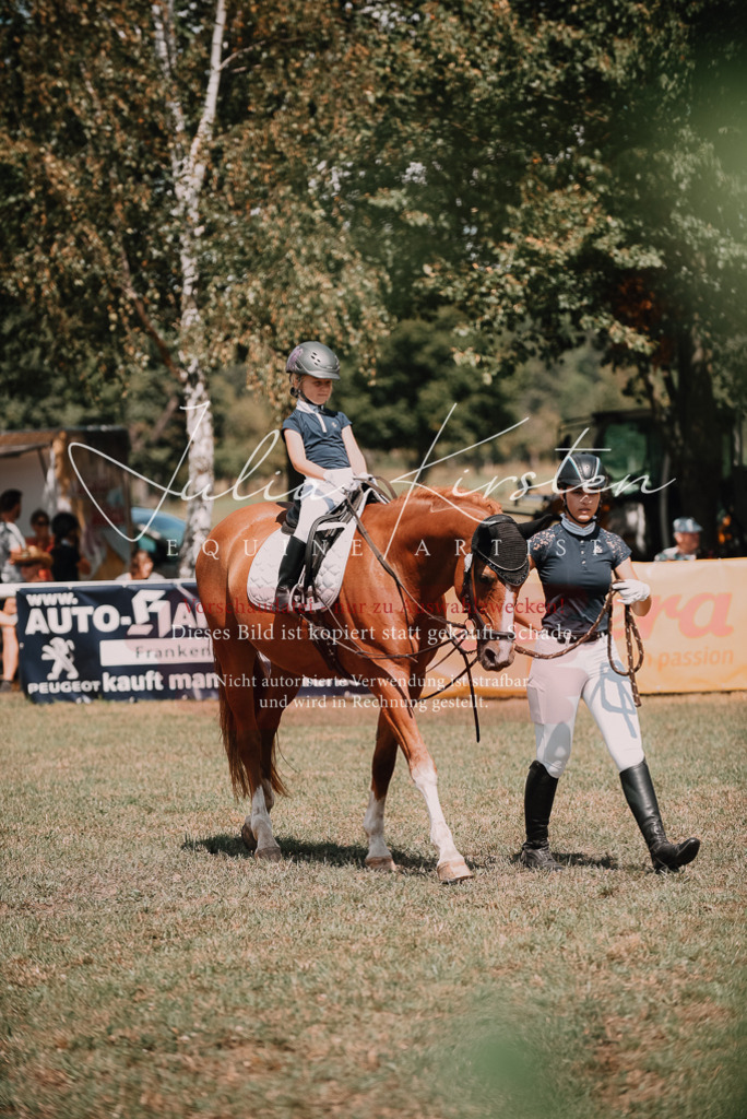 DSC_6188 | Pferde- und Turnierfotografie in Westsachsen. Pferdeportraits, Auftragszeichnungen und intuitive Kunst.