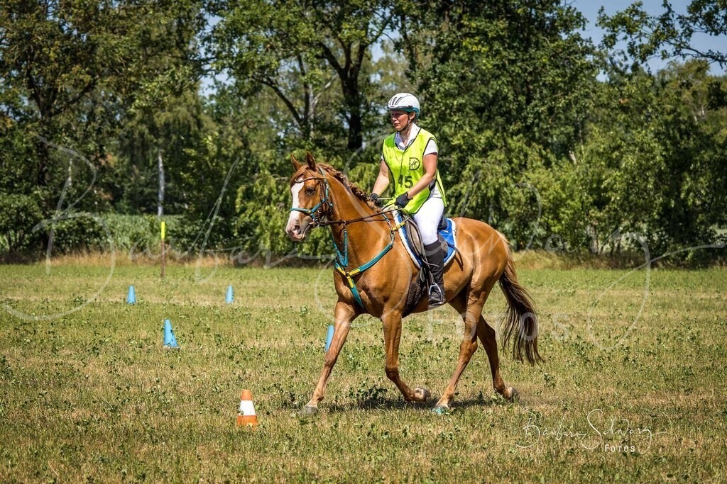 CJP_2026-06-26_59 | Stimmungsvolle Fotografie von Pferden, fotografische Begleitung von Veranstaltungen, Golfturnieren und Distanzritten - Realisiert mit Pictrs.com