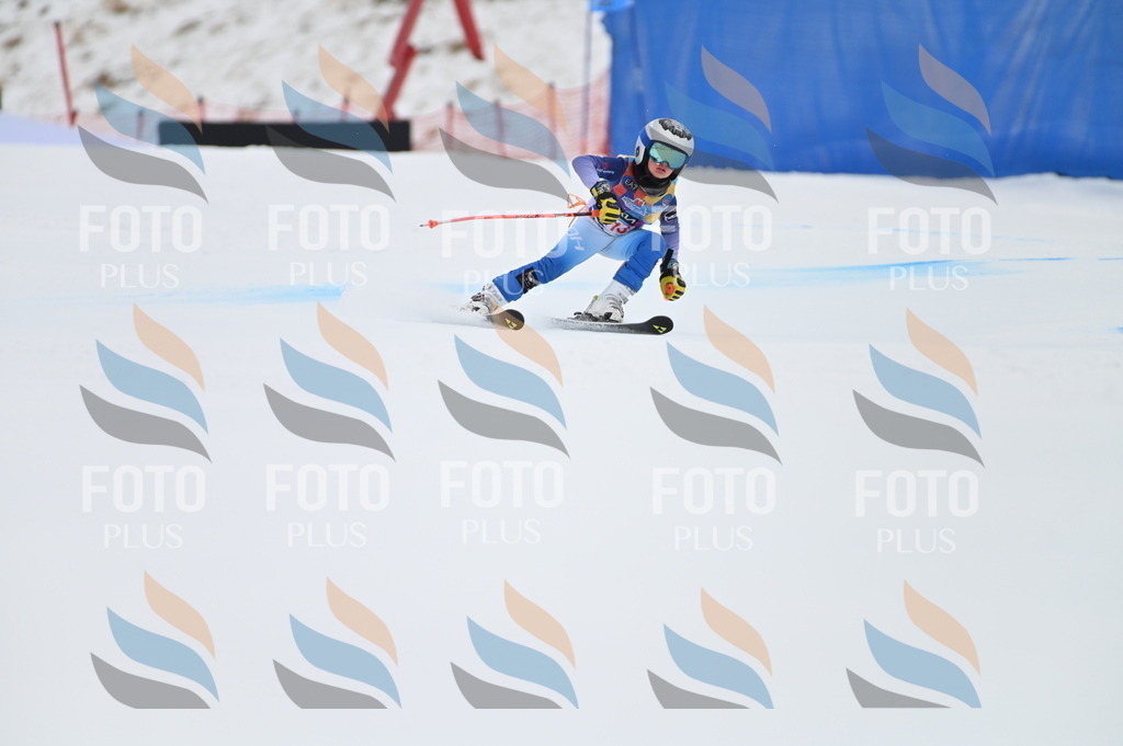 BGV_2568 | holidayphoto