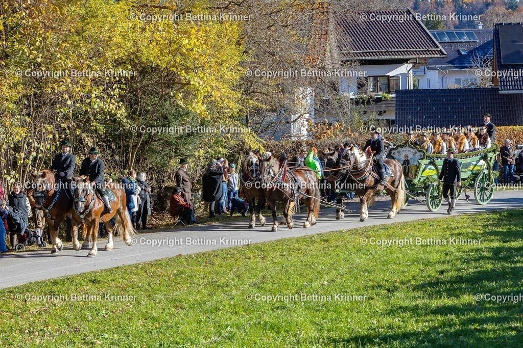 LBT25-100 | foto-bettina-krinner - Realisiert mit Pictrs.com