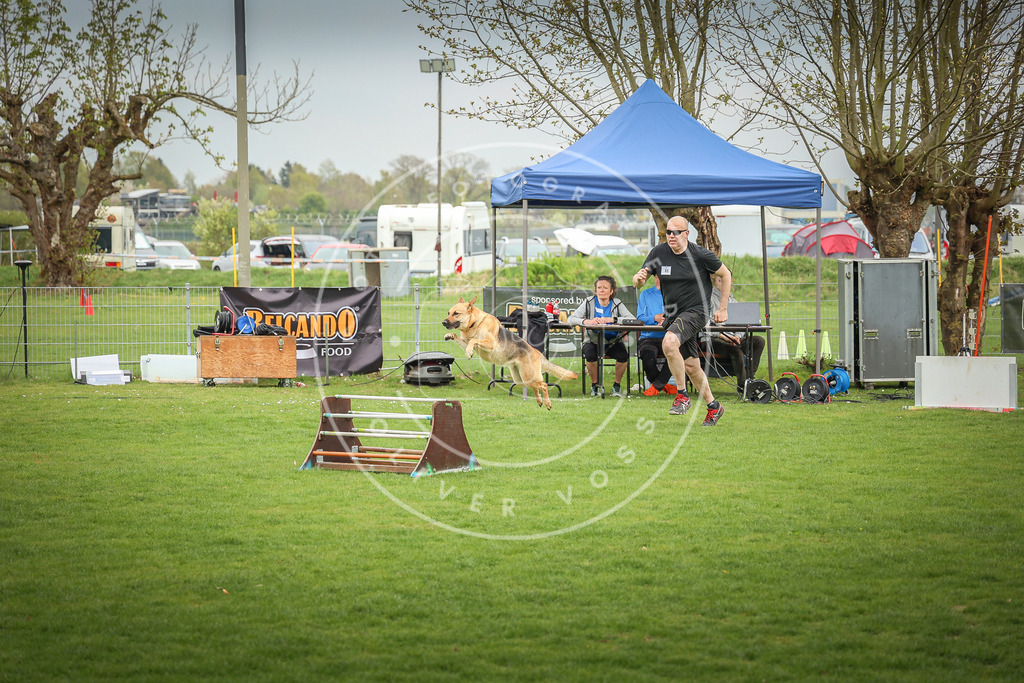 Pfotenfotografie_0L8A9450 | Hundefotografie, Tierfotograf, Pfotenfotografie, Fotoshooting Hund, Hunde Portrait, Hundesport, Hundeportraits, Heideshooting, Hunde, Sportfotograf, Hundefotograf, Turnierhundsport, THS,  - Realisiert mit Pictrs.com