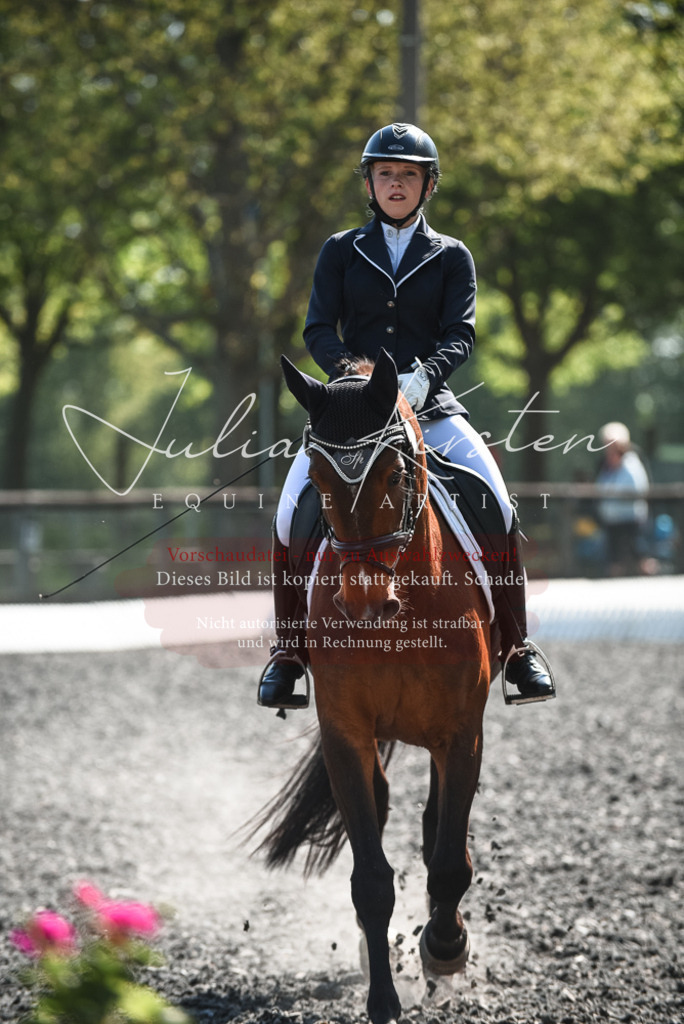 DSC_8879 | Pferde- und Turnierfotografie in Westsachsen. Pferdeportraits, Auftragszeichnungen und intuitive Kunst.