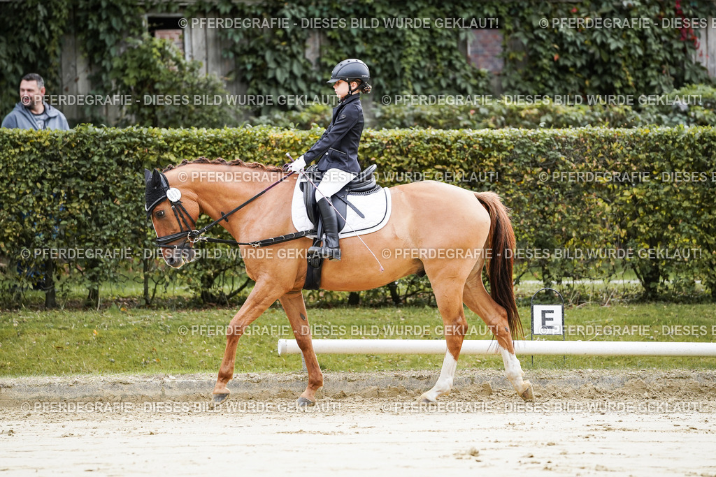 DSC05089 | Pferdegrafie