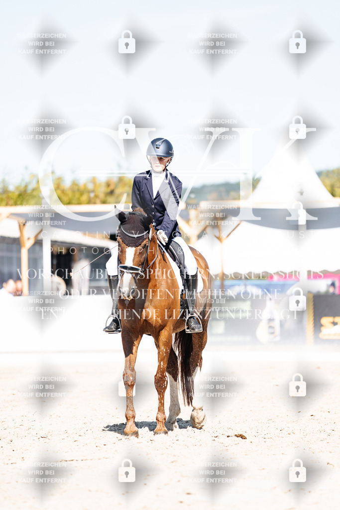 CK908508 | Turnierfotografie Pferdefotografie Trier Rheinland-Pfalz Pferdesport Reitsport Tierfotografie Sportfotografie Pferdevideo Pferdevideografie Equestrianvideography equestrianphotography  - Realisiert mit Pictrs.com