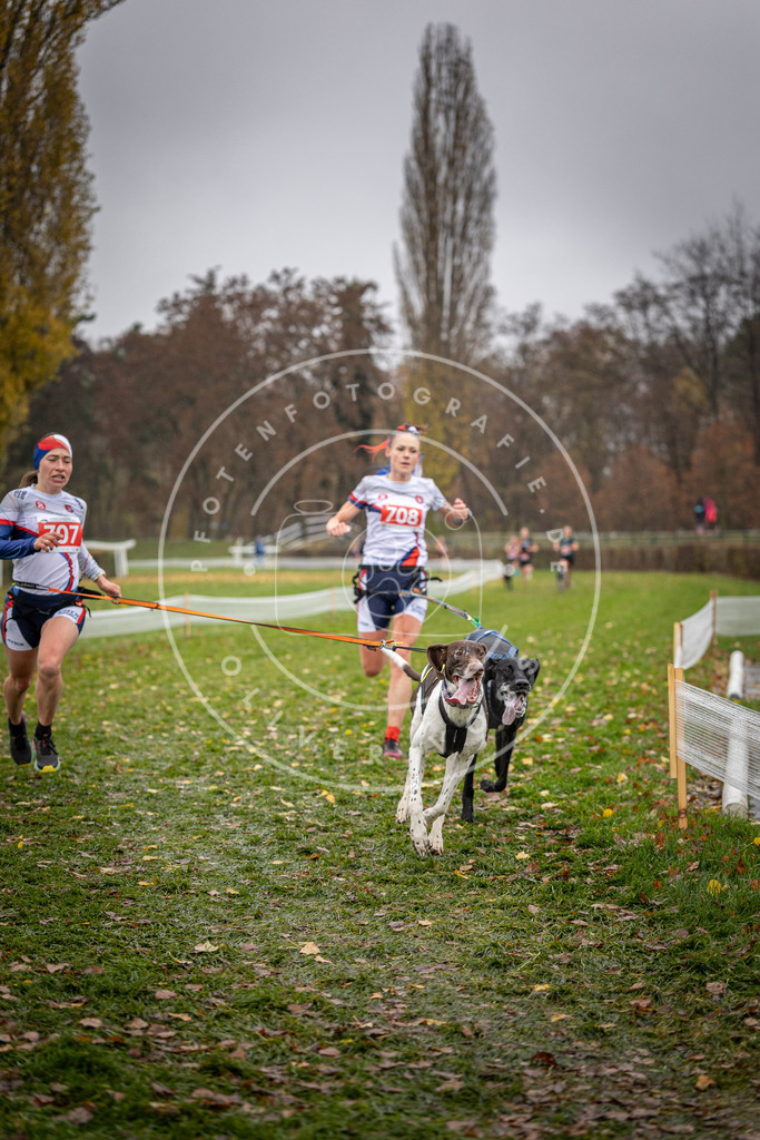 CaniXpix_DV3A9107 | Hundefotografie, Tierfotograf, Pfotenfotografie, Fotoshooting Hund, Hunde Portrait, Hundesport, Hundeportraits, Heideshooting, Hunde, Sportfotograf, Hundefotograf, Turnierhundsport, THS,  - Realisiert mit Pictrs.com