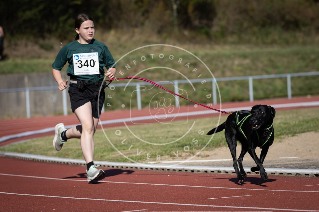 Pfotenfotografie_DV3A8094 | Hundefotografie, Tierfotograf, Pfotenfotografie, Fotoshooting Hund, Hunde Portrait, Hundesport, Hundeportraits, Heideshooting, Hunde, Sportfotograf, Hundefotograf, Turnierhundsport, THS,  - Realisiert mit Pictrs.com