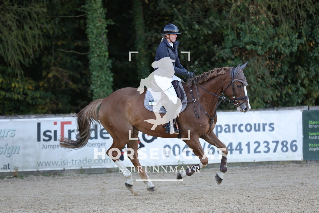 0P6A1951 | Willkommen bei Brunnmayr - Design & Fotografie – Ihrem Spezialisten für Reitturniere und Pferdeveranstaltungen in Oberösterreich, Salzburg und Bayern! Seit über 17 Jahren sind wir leidenschaftlich dabei.