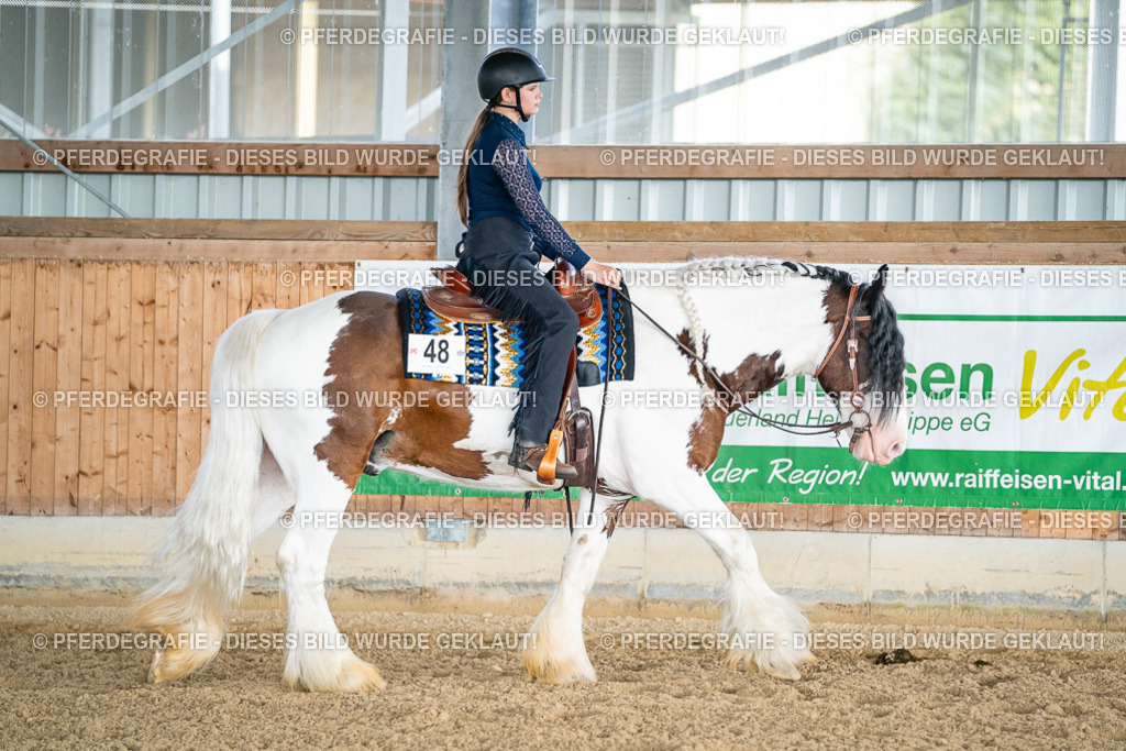 DSC08133 | Pferdegrafie