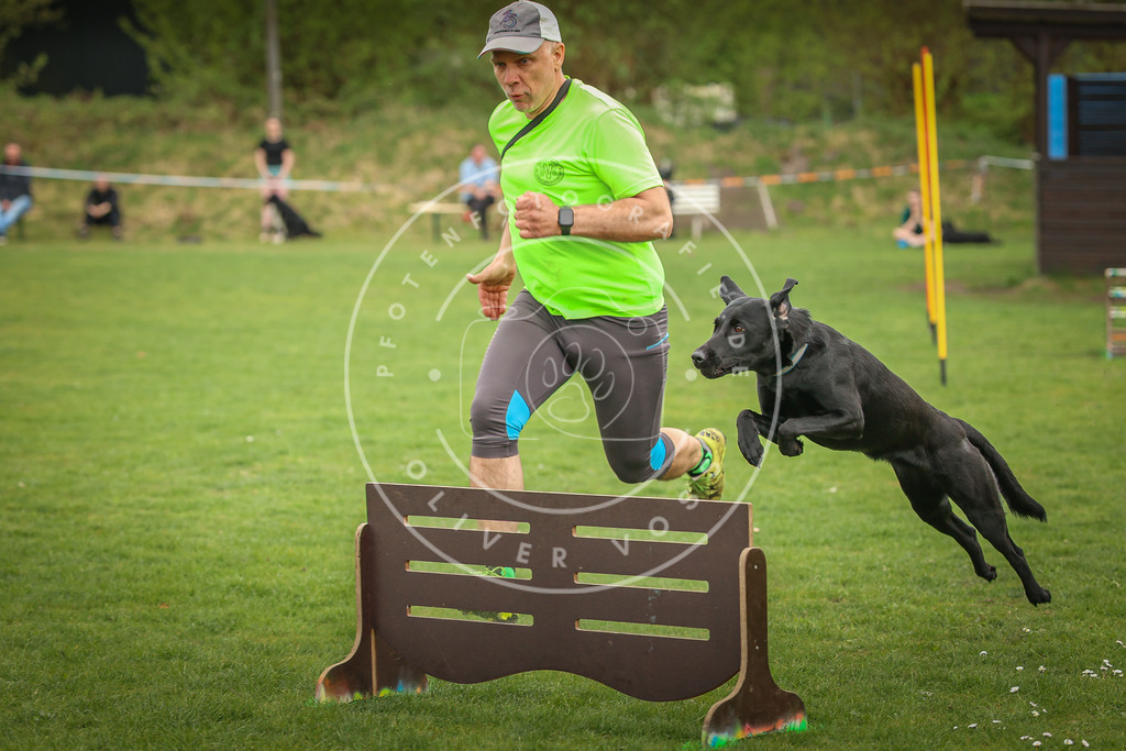 Pfotenfotografie_0L8A0962 | Hundefotografie, Tierfotograf, Pfotenfotografie, Fotoshooting Hund, Hunde Portrait, Hundesport, Hundeportraits, Heideshooting, Hunde, Sportfotograf, Hundefotograf, Turnierhundsport, THS,  - Realisiert mit Pictrs.com