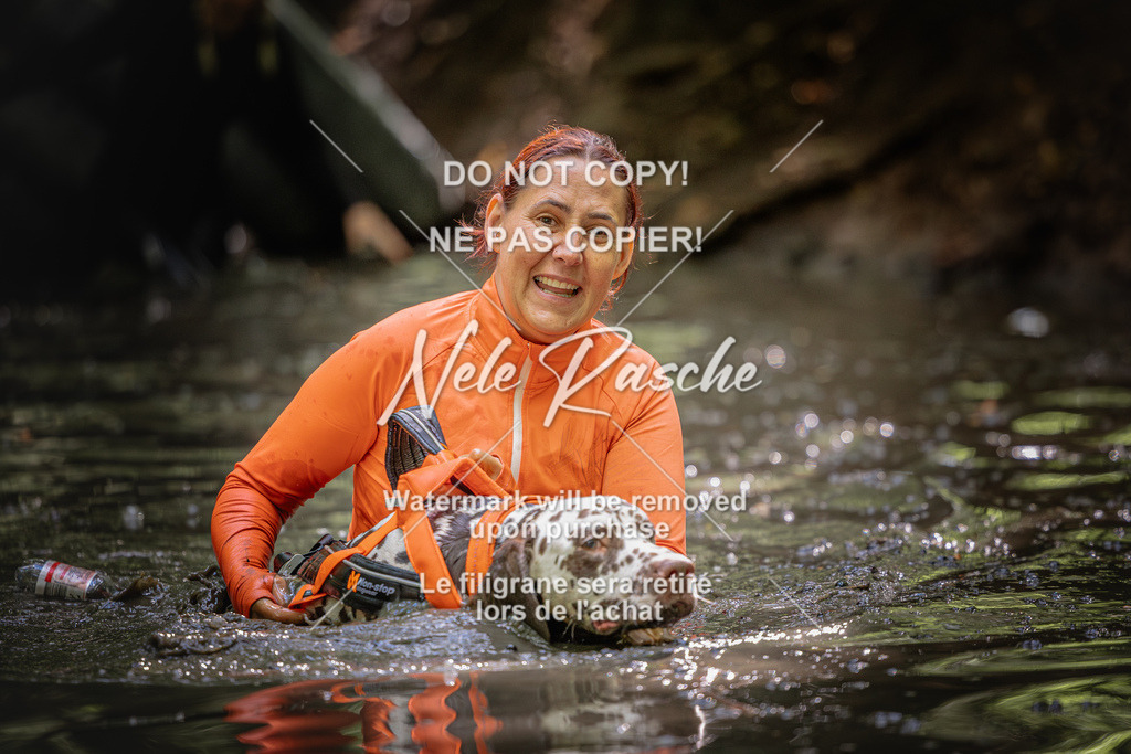 nelerasche_SaWingst1400-1500_433 | nelerasche