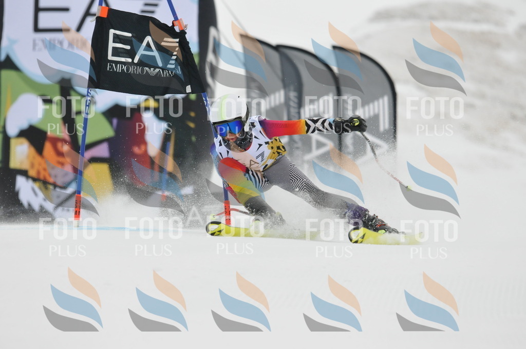 DSC_8477 | holidayphoto