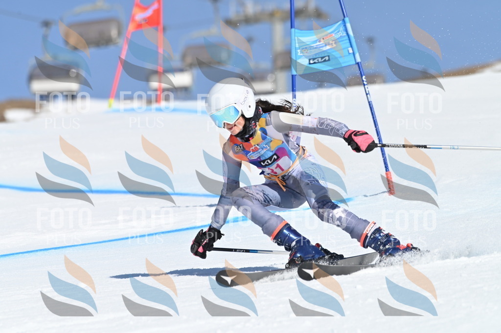 BGV_8162 | holidayphoto