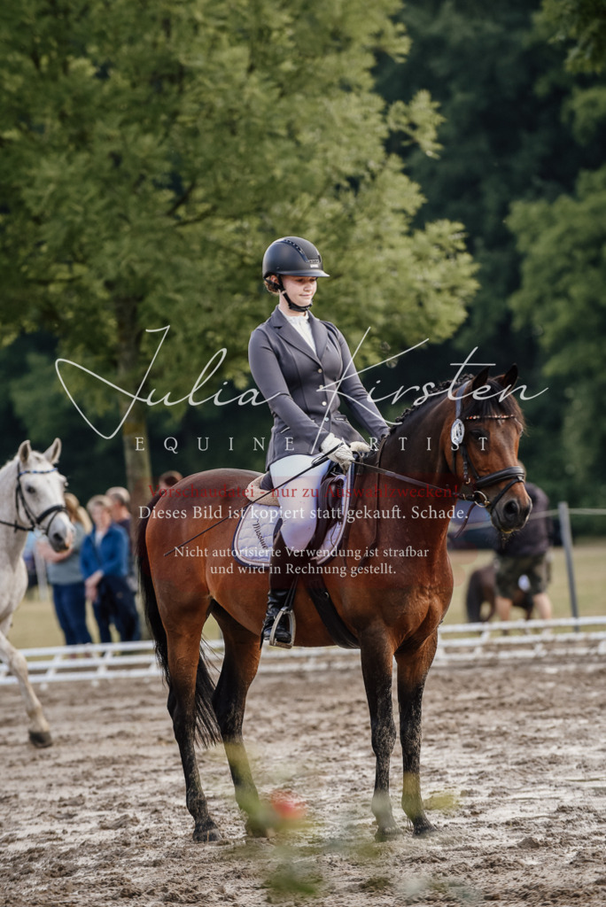 DSC_8291 | Pferde- und Turnierfotografie in Westsachsen. Pferdeportraits, Auftragszeichnungen und intuitive Kunst.