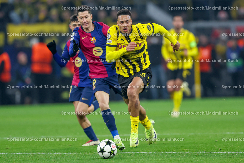 UCL11122401019 | 11.12.2024, UEFA Champions League, Borussia Dortmund - FC Barcelona, 8. Spieltag, Signal Iduna Park, Saison 2024 2025: Felix Nmecha (BVB #8) im Zweikampf gegen Robert Lewandowski (Barca #9)