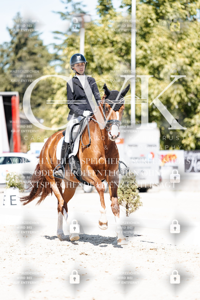 CK900519 | Turnierfotografie Pferdefotografie Trier Rheinland-Pfalz Pferdesport Reitsport Tierfotografie Sportfotografie Pferdevideo Pferdevideografie Equestrianvideography equestrianphotography  - Realisiert mit Pictrs.com
