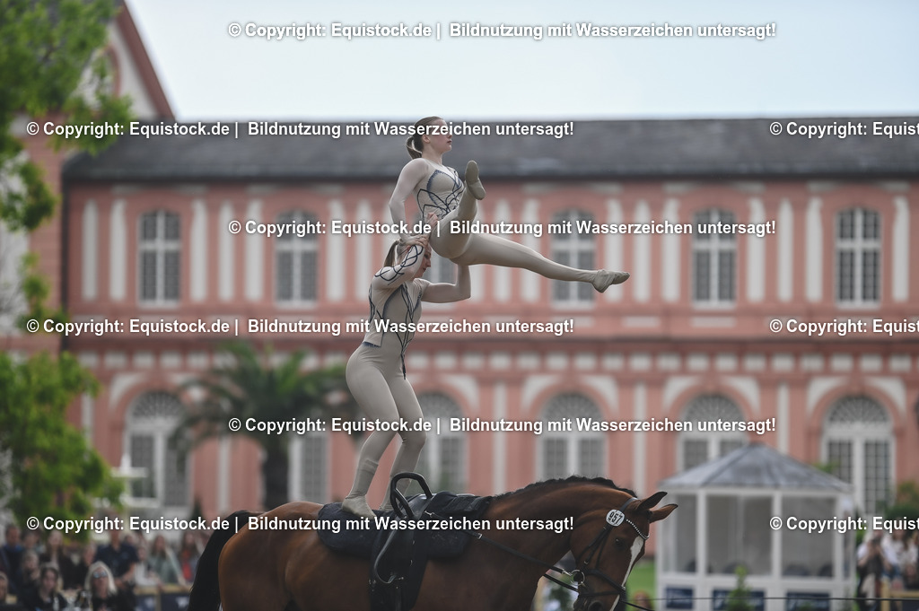 20240519_Voltige_0628 | Foto: Thomas Hartig