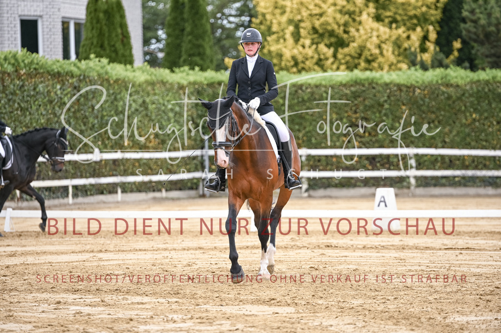 Schugtsche-Aluta25-42.EDressur -137 | Schugtsche Fotografie - Realisiert mit Pictrs.com