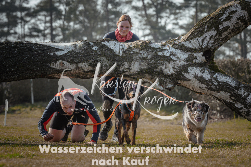 1034_ZZ93031 | kk-dogfotos